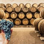 Proceso de producción de vino artesanal - Francisco Sanahuja