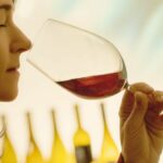 aromas del vino