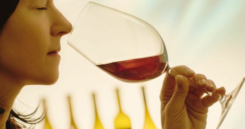 11aromas del vino