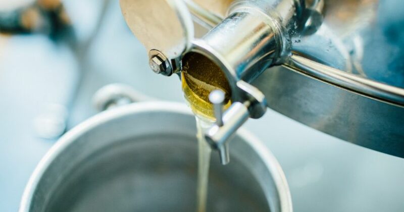 11Decantación del Aceite de Oliva